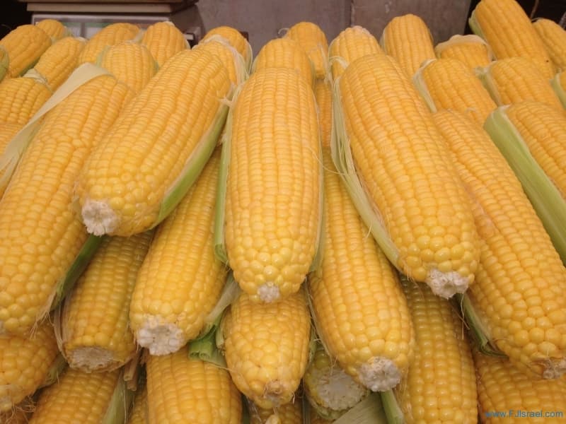 best quality yellow and Red corn for sale with lowest price